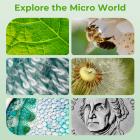 2.4" Ekranlı El Mikroskobu, 500X Büyütme, 1080P Fotoğraf & Video Çekimi, 3-12 Yaş Arası Kız ve Erkek Çocuklar İçin, Kentfaith