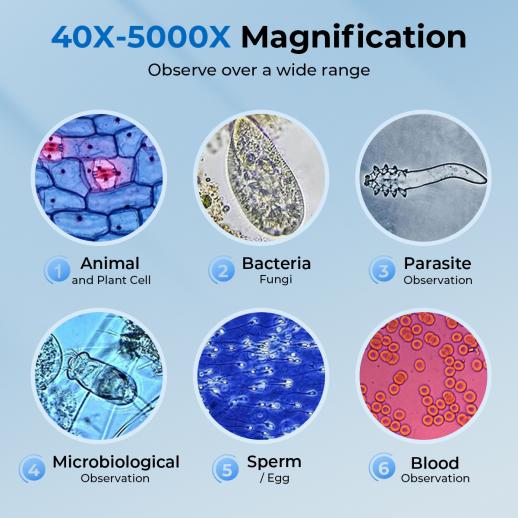 Microscopio Composto con Display da 7 pollici, Ingrandimento 40X-5000X, 195 Obiettivi, Tavolino Meccanico, Oculari WF10x e WF25x, Condensatore Abbe, per Laboratorio, Biologia, Educazione