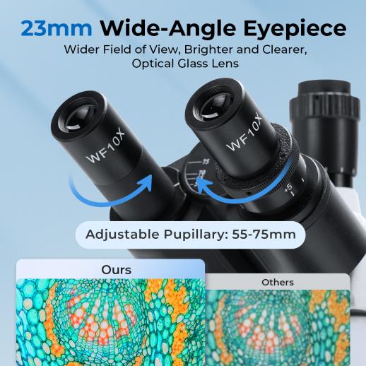 Microscopio Composto con Display da 7 pollici, Ingrandimento 40X-5000X, 195 Obiettivi, Tavolino Meccanico, Oculari WF10x e WF25x, Condensatore Abbe, per Laboratorio, Biologia, Educazione