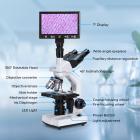 Microscopio Composto con Display da 7 pollici, Ingrandimento 40X-5000X, 195 Obiettivi, Tavolino Meccanico, Oculari WF10x e WF25x, Condensatore Abbe, per Laboratorio, Biologia, Educazione