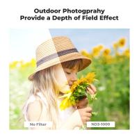 Which New Pentax Dslr Fit K Mount Lens ?