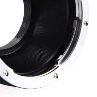 What Are The Best Batteries For Trail Cameras ?