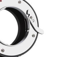 What Lenses Are Compatible With Canon Rebel T7 ?