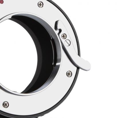 What Lenses Are Compatible With Canon Rebel T7 ?