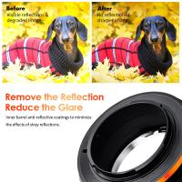 Pourquoi Insuffler Du Co2 En Endoscopie ?