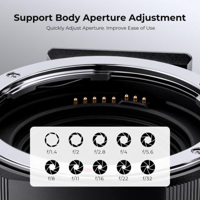 Can Ef Lenses Be Used On Canon Mirrorless ?