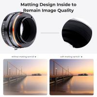 Welcher Standventilator Ist Der Beste ?