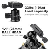 Smithsonian Microscope How To Turn On Light ?