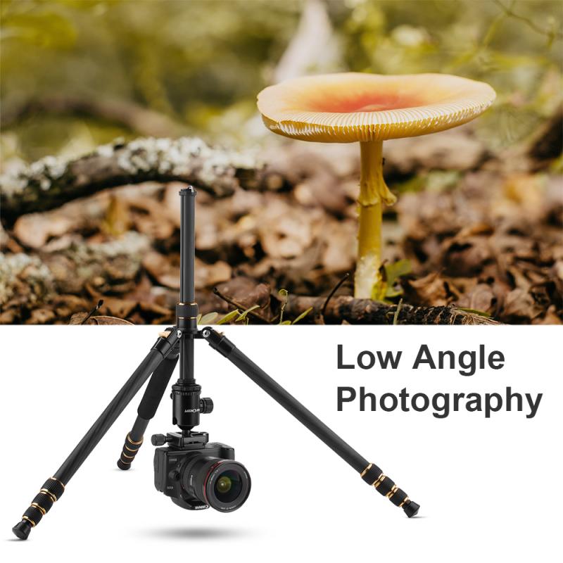 Photography: Using a monopod for stability in capturing images