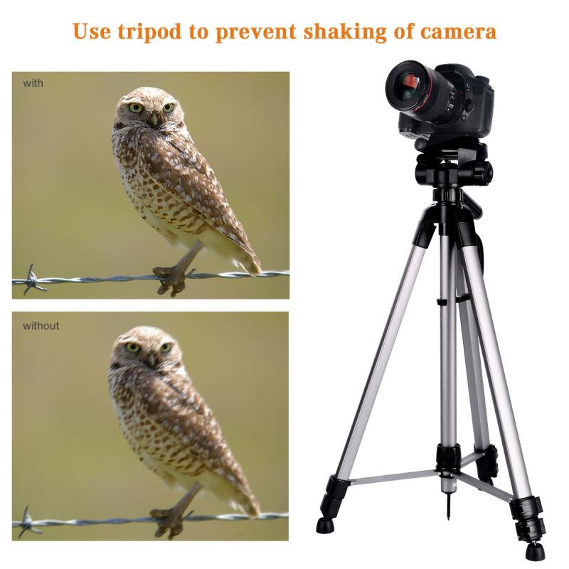 ¿cuáles son las cámaras que graban en 360 4