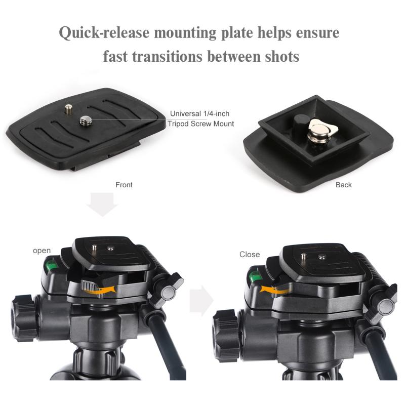 ¿cuáles son las cámaras que graban en 360 1