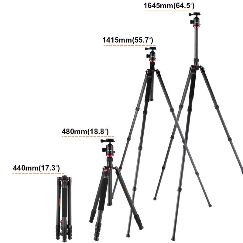Dimensioni e peso della telecamera