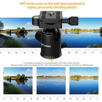 Riprese Rally Quale Videocamera Comprare ? Riprese Rally Quale Videocamera Comprare ?
