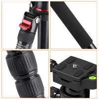 Quel Coût Pour Endoscopie Gynécologie ?