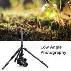 K&F Concept 78 inch Camera Tripod for DSLR Compact Aluminum Tripod with 360 Degree Ball Head and 8kgs Load for Travel and Work