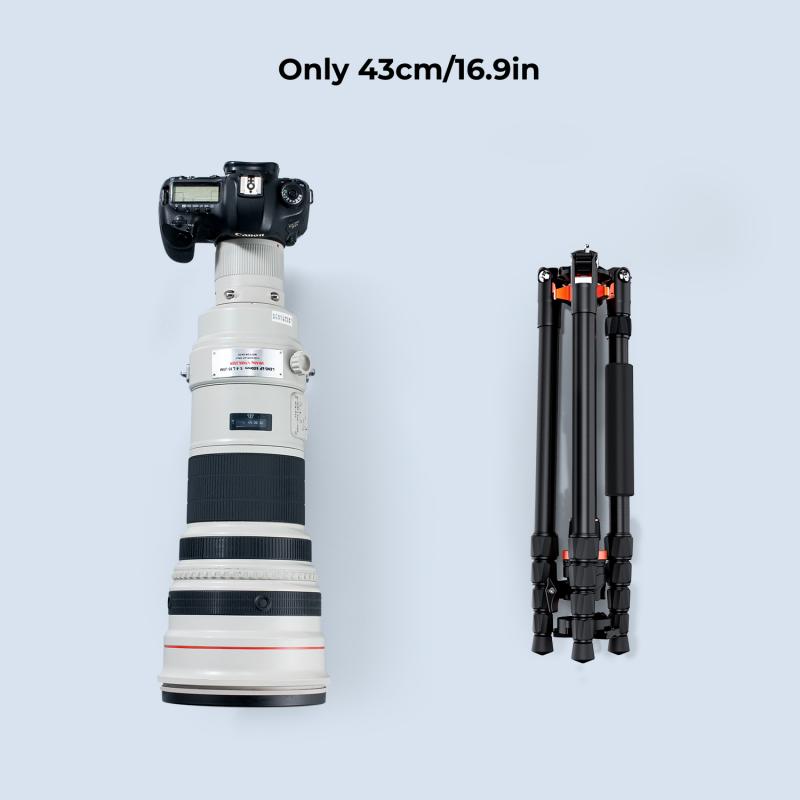 Weight capacity: Choosing a tripod that can handle your equipment.