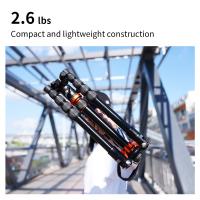 Endoscope Flexible Pourquoi ?