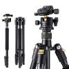 K&F Concept TM2324 2022 New 64 inch/162cm DSLR Tripod, Lightweight & Compact Aluminum Camera Tripod with 360° Ball Head & Detachable Monopod for Travel / Work B234A1+BH-28L Golden & Black