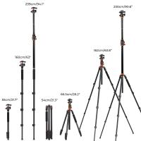Why Are Gitzo Tripods So Expensive ?