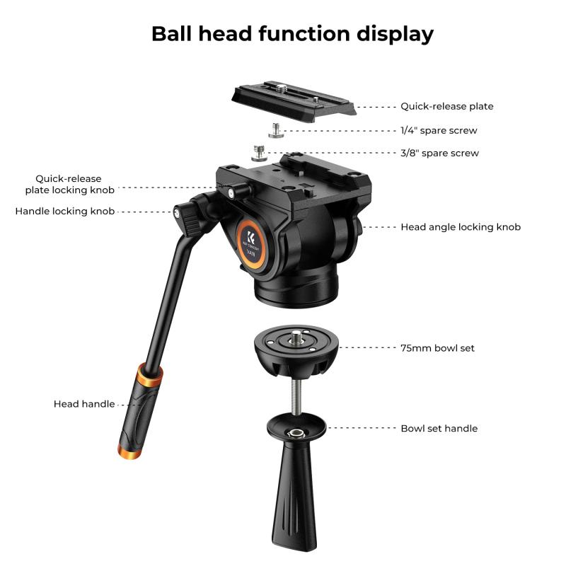 Types of Fluid Heads for Monopods