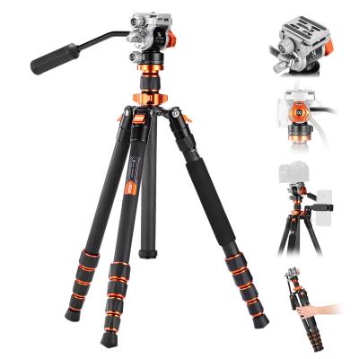 173cm Treppiede Leggero in Fibra di Carbonio per Fotocamera con Testa Idraulica per Video, Pieghevole, Gamba Smontabile e Blocco a Vite in Metallo, Serie Omni O255C4+FH-03