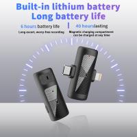 Sony Camcorder How To Connect Lavalier Microphone ?