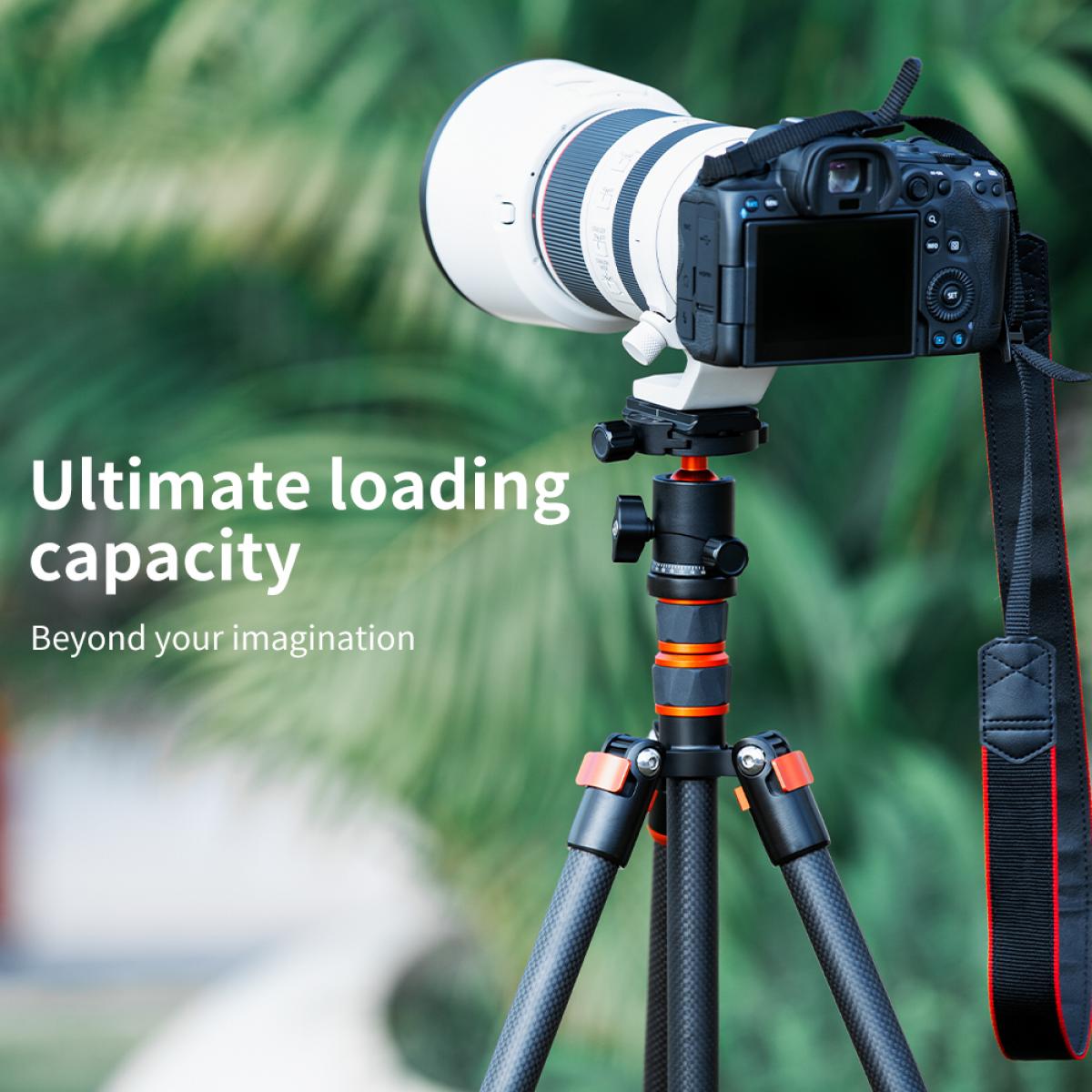 Professionele metalen statiefkogelkop 360 graden roterend panoramisch met 1/4 &quot;schroefdraad en verwijderbare snelkoppelingsplaat, geschikt voor alle spiegelreflexcamera's. Onderste 3/8 schroefgat voor montage van de statiefkop op een statief, mon