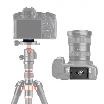 What Tripod Do Influencers Use ?