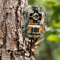 Quel Forfait Pour Caméra De Chasse ?