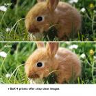 Бинокль 10 x 42 HD BAK4 для наблюдения за охотой на птиц