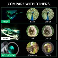 What Is Monocular Vision ?