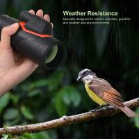 Wat Zijn De Kosten Voor 12 Zonnepanelen?