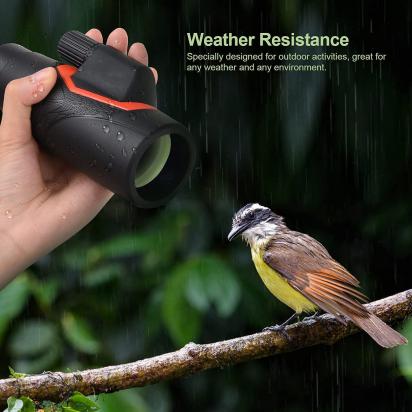 Wat Zijn De Kosten Voor 12 Zonnepanelen?