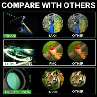 Hoe Zoeken Met Metaaldetector?