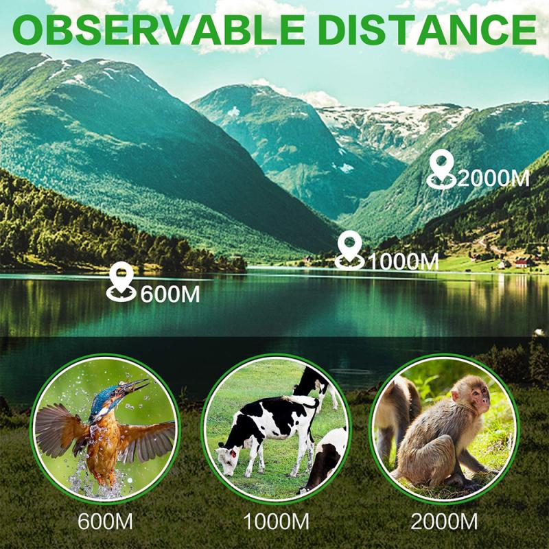 Optical Performance: Clarity, magnification, and image quality of the monocular.