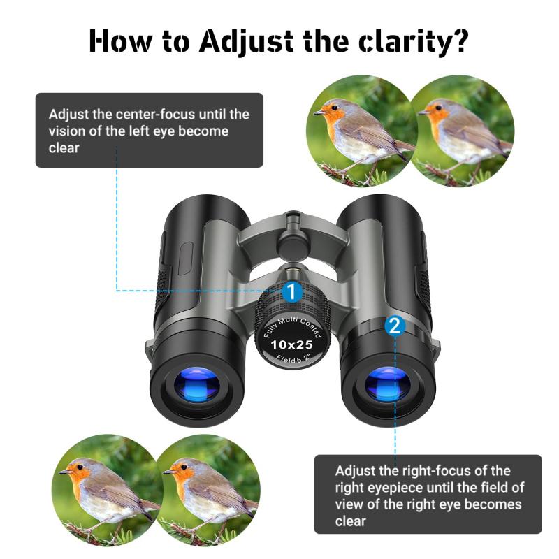 Binoculars as a Telephoto Lens
