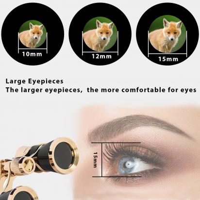 Which Are The Best Binoculars ?