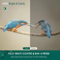 What Is A Good Eye Relief For Binoculars ?