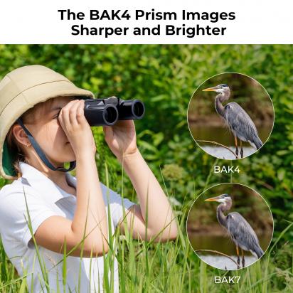 Which Review Canon G 10 Camcorder ?