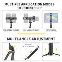 Camcorders That Can Live Stream ?
