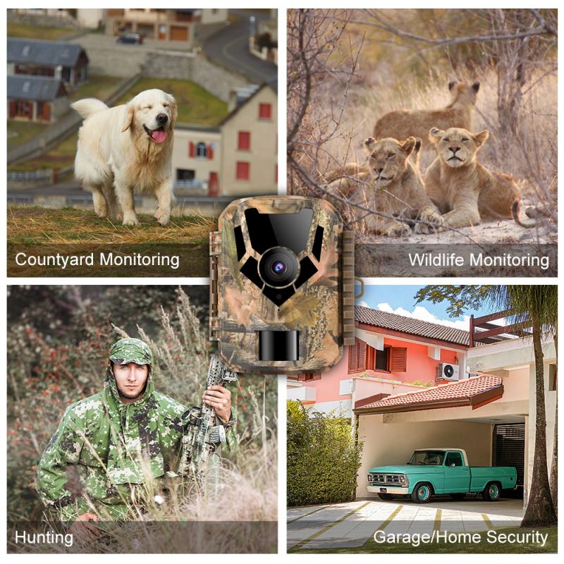 wie funktioniert eine wildtierkamera 3