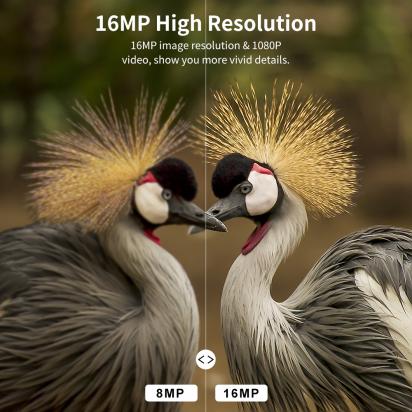 Come Settare La Lingua Su Telecamera Wdr 1080p ?