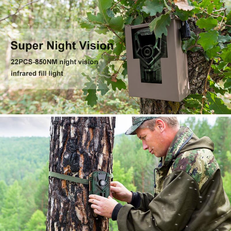 Types and Features of Trail Cameras for Outdoor Surveillance