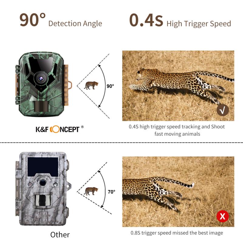 Trail Camera Image and Video Quality: Resolution and Night Vision
