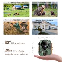 Are Expencive Camera Filters Worth It ?