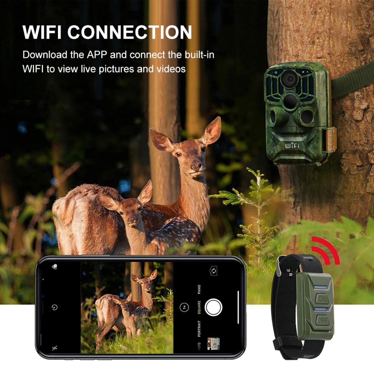 24MP 1296P HD Wifi Vildtkamera 5 Million Sensor Udendørs Wildlife Monitoring Vandtæt Nat Infrared Vision Jagt Kamera