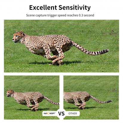 Grand Prismatic Spring Del Parque De Yellowstone ?