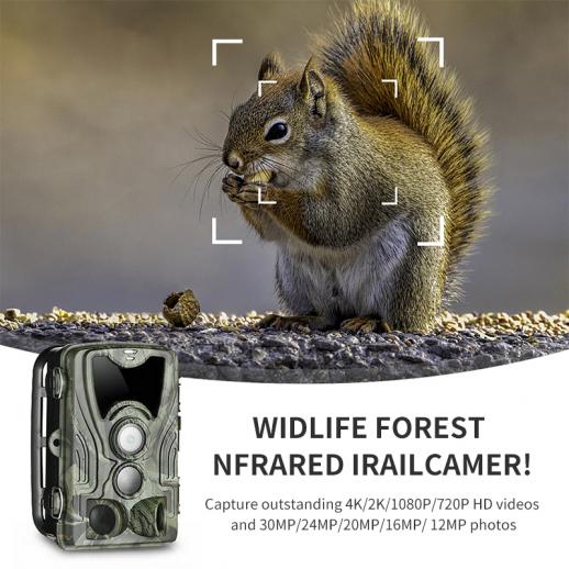 Wildkamera WiFi 4K 30MP mit Nachtsicht-Bewegungsaktivierter wasserdichter IP66 Wildkamera mit 0,3s Auslösezeit und 40 Stück No-Glow-LEDs für Wildbeobachtung und Heimüberwachung