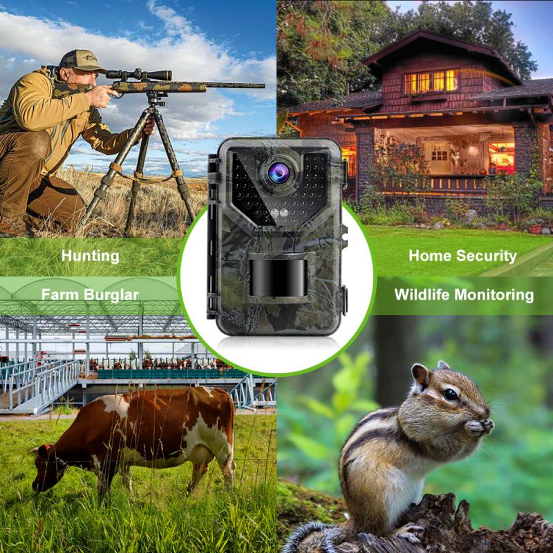 Options de connectivité pour les caméras de surveillance