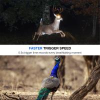 How To Use Rangefinder At Night ?